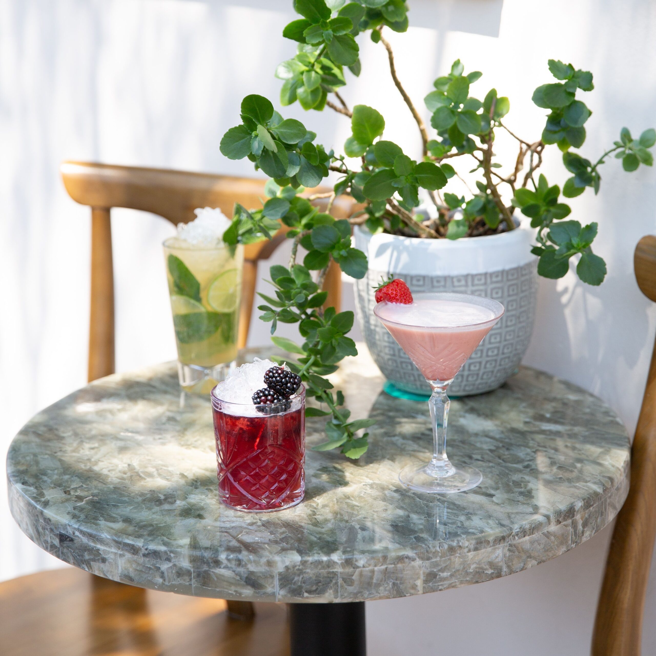 Drinkware Essentials